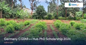 Germany CGIAR++ Hub PhD Scholarship 2026 on Zejimo.com